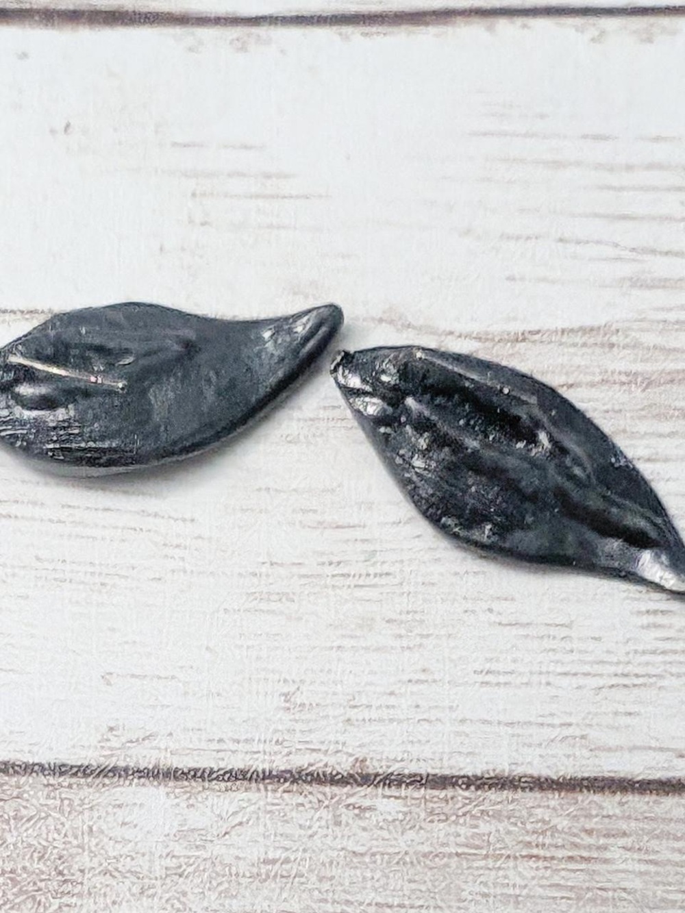 Black Men's Leaf Design Earrings - Unbranded